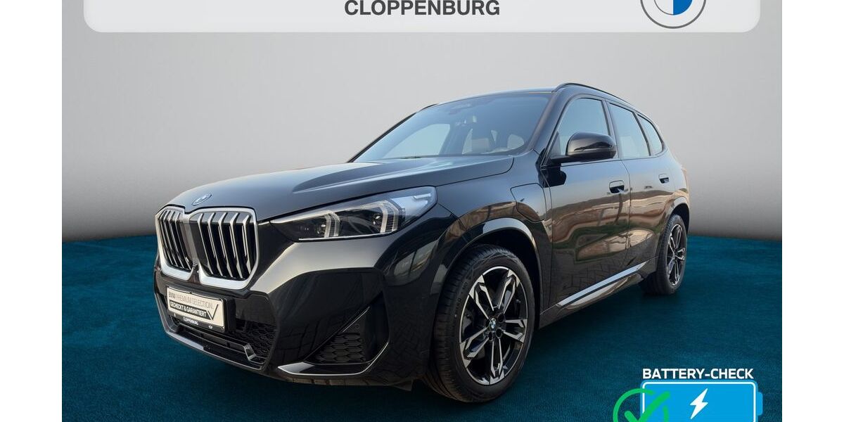 BMW X1 25.149 km 50.845 &euro; Syke 28857