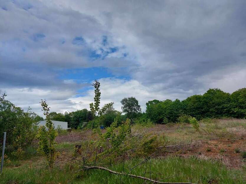 Grundstück zu verkaufen in Bremen 699.000 € 1740 m² zimmer