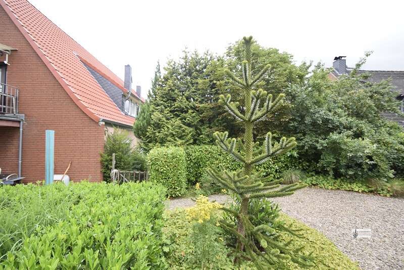 3,5 Zimmer OG - Wohnung im 5 Parteienhaus in ruhiger Lage mit Einbauküche und Stellplatz - Etagenwohnung Syke | Angebot:27312337