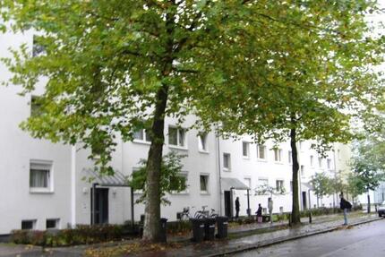 frisch sanierte 2,5-Zimmer-Wohnung mit Balkon zimmer