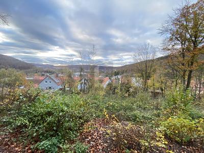 IHR RÜCKZUGSORT: 960 M² INMITTEN DER NATUR - Grundstück Hannoversch Münden | Angebot:27229329