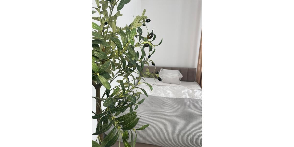 Etagenwohnung Bremen Neustadt - 1 Zimmer, 33 m&sup2;, 900&euro; | Angebot:26271467