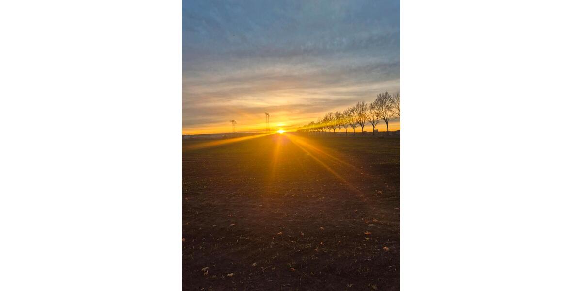 Wg Zimmer zu vermieten 2 zimmer