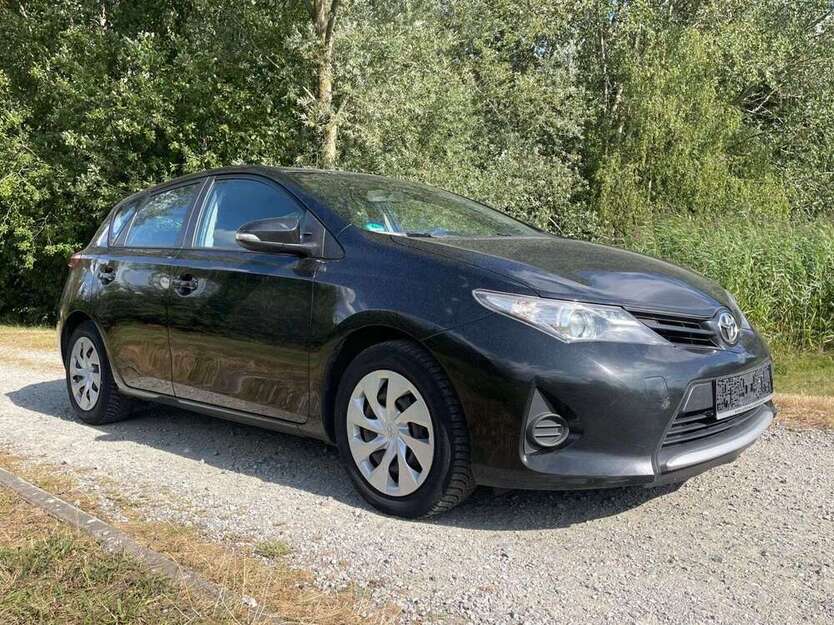 Auris