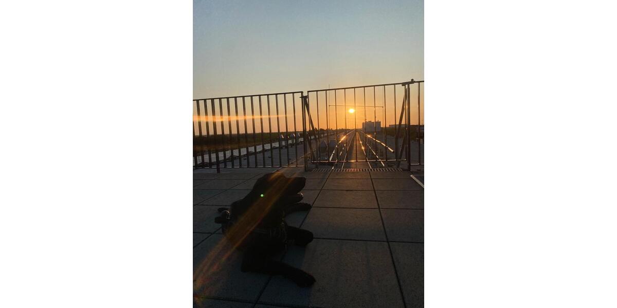Gewerbeobjekt Bremen Häfen - 336&euro; | Angebot:26418048