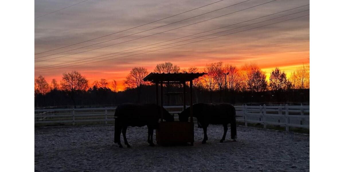 Dachgeschoßwohnung Ottersberg - 3 Zimmer, 110 m&sup2;, 600&euro; | Angebot:25057168