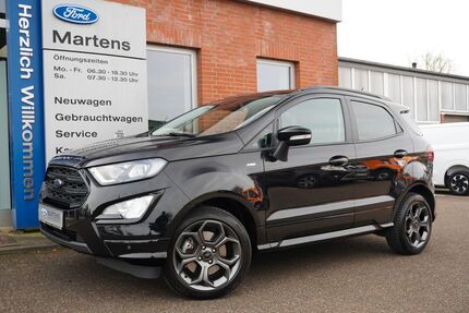 Ford EcoSport 34.162 km 16.900 &euro; Achim-Embsen 28832