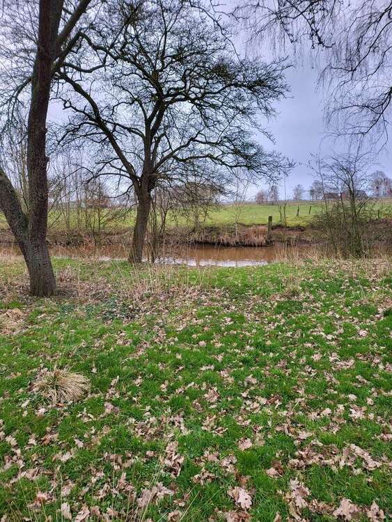 Grundstück zu verkaufen in Berne 85.800 € 440 m²