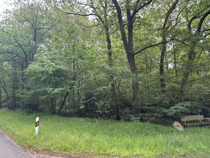Grundstück in Dötlingen 18.200 € 7280 m²