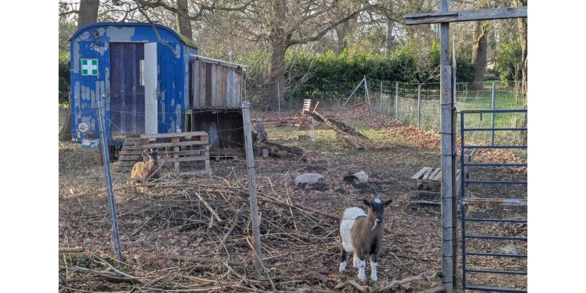 Einfamilienhaus Lilienthal - 8 Zimmer, 30 m&sup2;, 753&euro; | Angebot:25973904