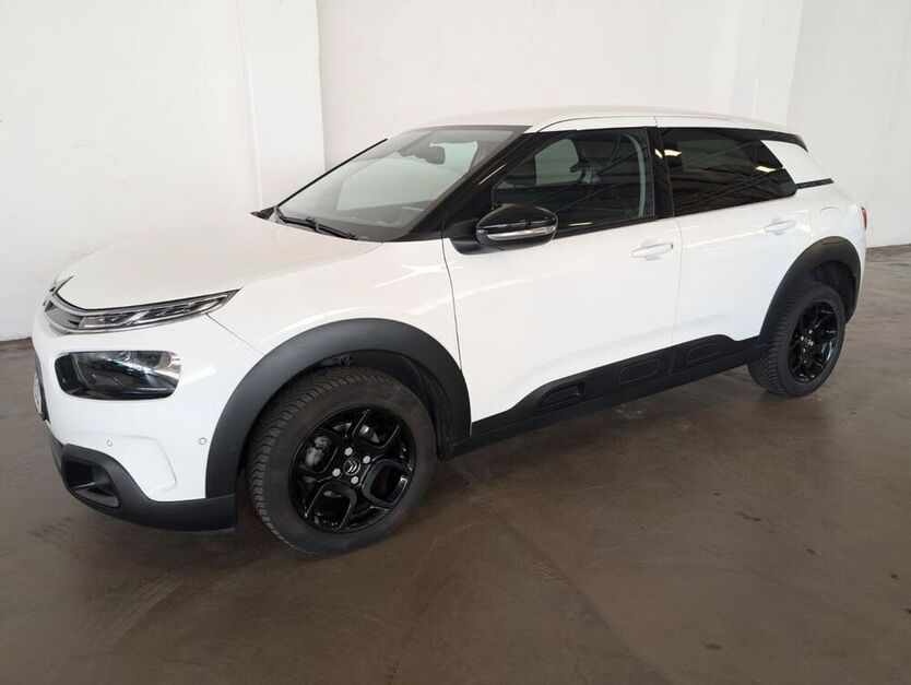 C4 Cactus