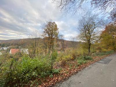 IHR RÜCKZUGSORT: 960 M² INMITTEN DER NATUR - Grundstück Hannoversch Münden | Angebot:27229329