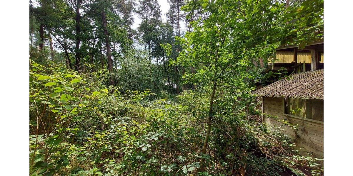 Grundstück Worpswede / Neu Sankt Jürgen Neu Sankt Jürgen - 165.000&euro; | Angebot:22598456