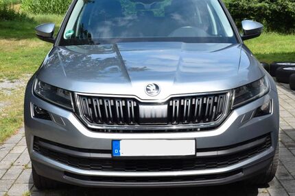 Skoda Kodiaq 164.548 km 19.500 &euro; Grasberg 28879