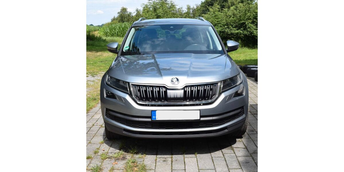 Skoda Kodiaq 164.548 km 19.500 &euro; Grasberg 28879