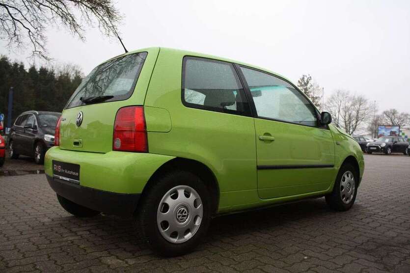 Lupo