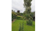 Einfamilienhaus Ganderkesee - 467.000&euro; | Angebot:27255489