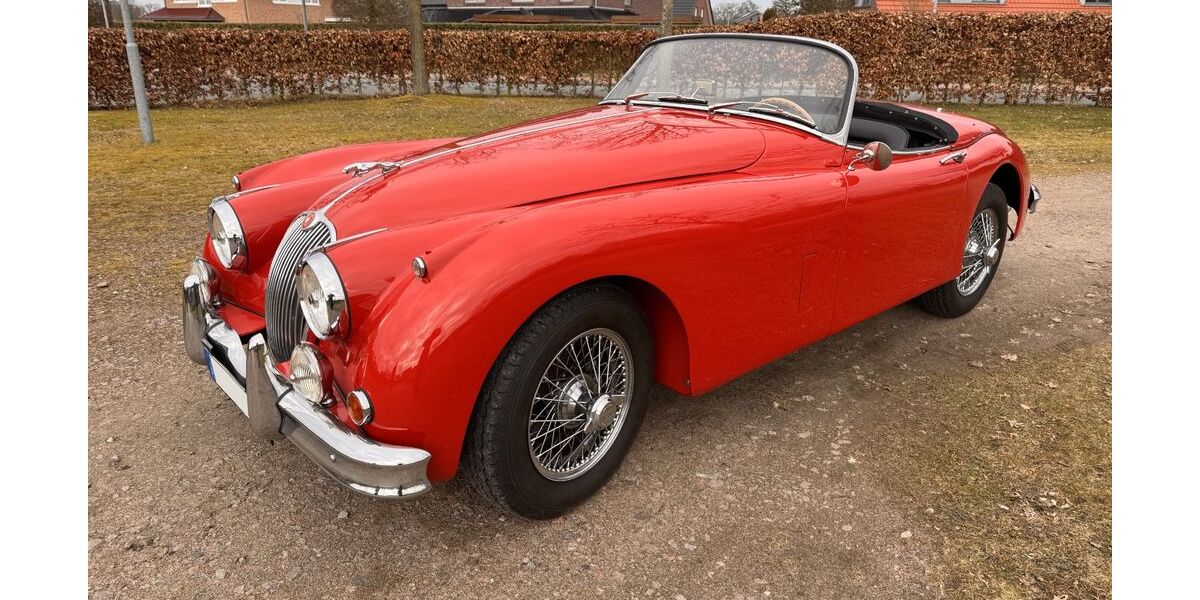 Jaguar XK 14.105 km 155.000 &euro; Blender 27337