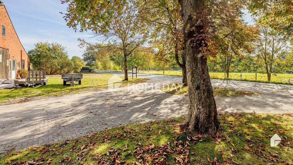 Unter Reet: Flexibel nutzbares MFH im Bauernhausstil | Tolle Ausstrahlung | Großes Grundstück 1 zimmer