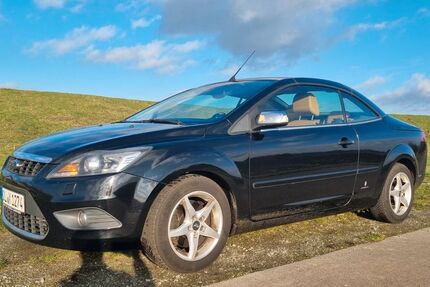 Ford Focus 385.000 km 2.799 &euro; Wüsting 27798