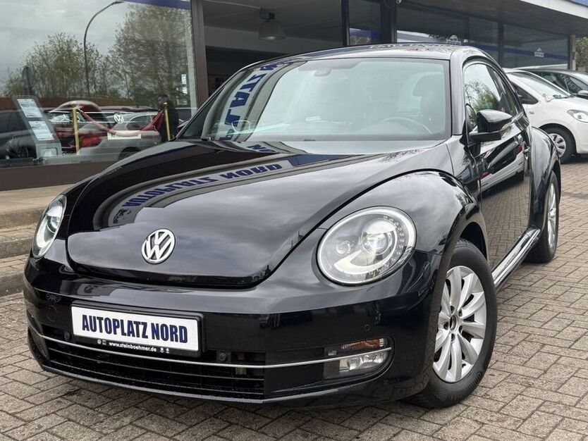 Beetle