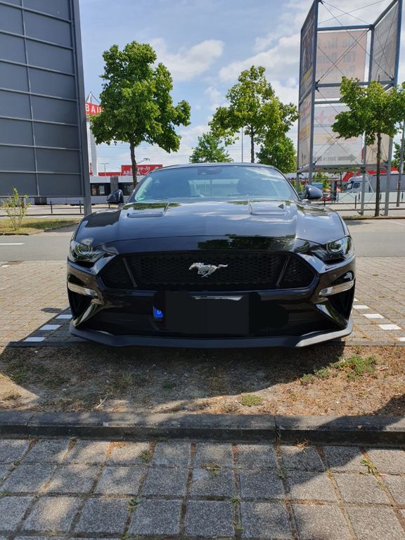 Mustang