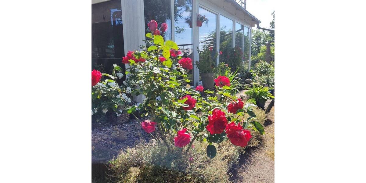 Bauernhaus, Landhaus Weyhe Melchiorshausen - 8 Zimmer, 290 m&sup2;, 530.000&euro; | Angebot:26607776