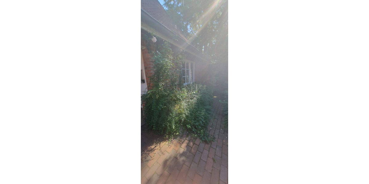 Bauernhaus, Landhaus Quelkhorn Quelkhorn - 1 Zimmer, 212 m&sup2;, 440.000&euro; | Angebot:26218204