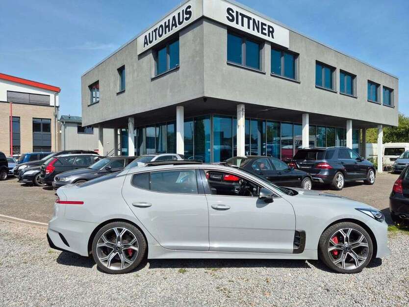 Stinger
