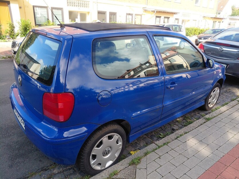 Polo