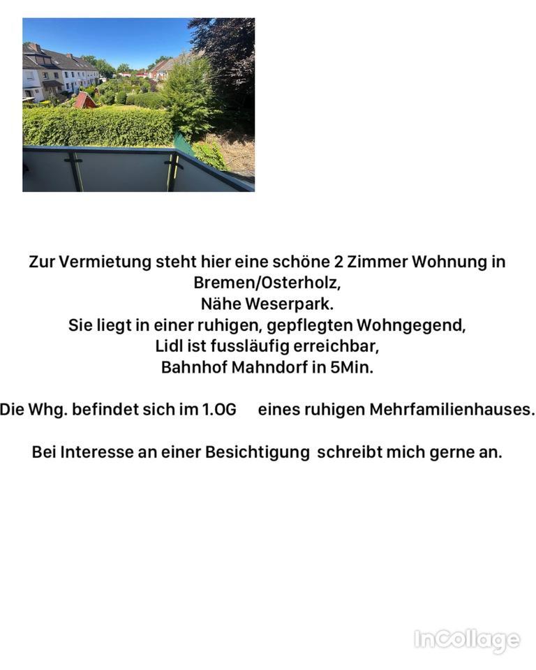 2-Zimmer Wohnung in Bremen zimmer