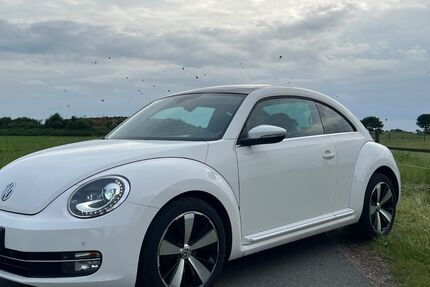 VW Beetle 125.600 km 9.299 &euro; Ganderkesee 27777