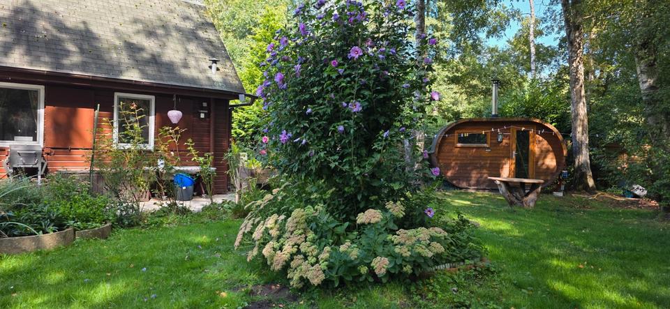 Einfamilienhaus Bremen Blockland - 2 Zimmer, 40 m&sup2;, 95.000&euro; | Angebot:26898179