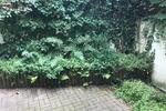Etagenwohnung Bremen Östliche Vorstadt - 2 Zimmer, 55 m&sup2;, 630&euro; | Angebot:26319727