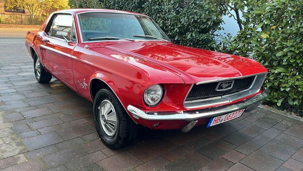 Mustang