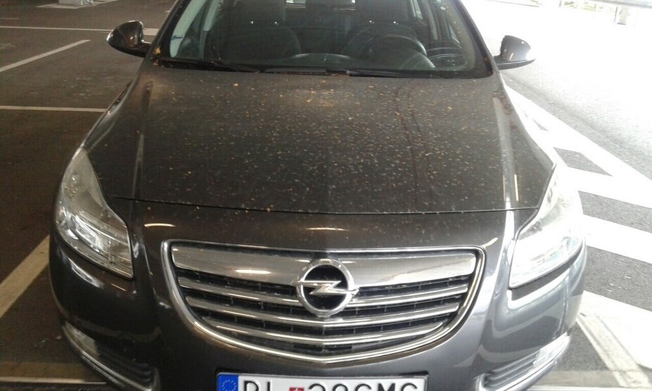 Insignia Sports Tourer