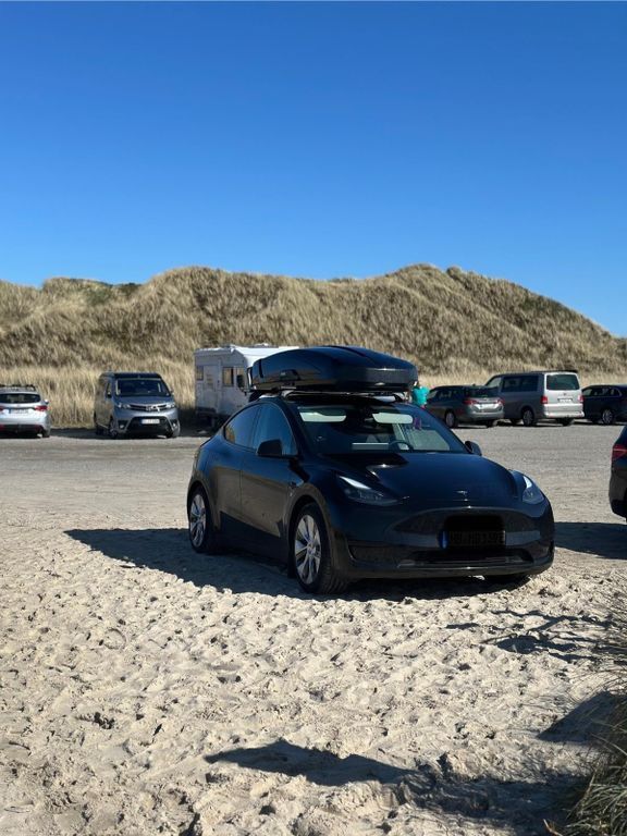 Model Y