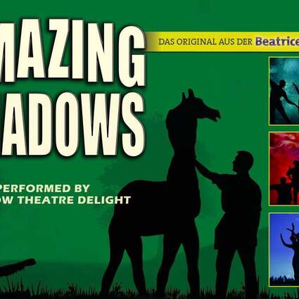 AMAZING SHADOWS 16.01.2026 Stadthalle Elsfleth