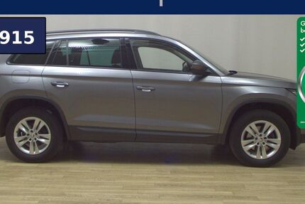Skoda Kodiaq 173.372 km 21.980 &euro; Bremen / Arsten 28279