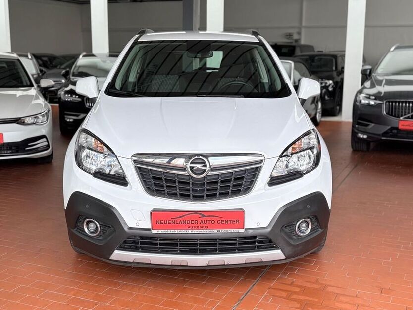 Mokka