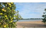 Einfamilienhaus Elsfleth - 85.000&euro; | Angebot:26505368