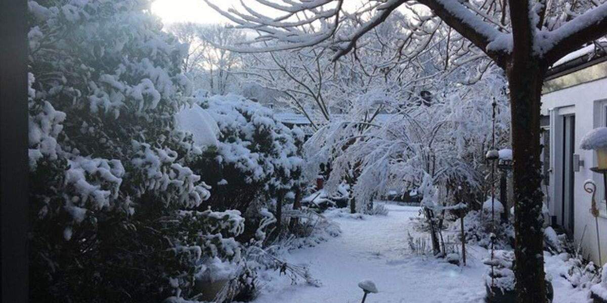 Reihenendhaus Bremen Borgfeld - 4 Zimmer, 141 m&sup2;, 590.000&euro; | Angebot:25733086