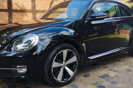 VW Beetle