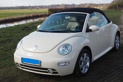 VW Beetle 175.000 km 6.000 &euro; Osterholz-Scharmbeck 27711
