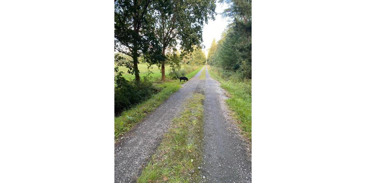 Einfamilienhaus Hambergen - 4 Zimmer, 118 m&sup2;, 365.000&euro; | Angebot:26326868