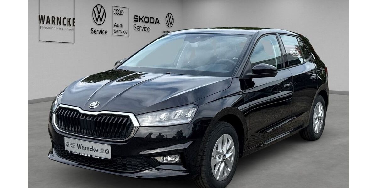 Skoda Fabia 1.100 km 17.970 &euro; Tarmstedt 27412