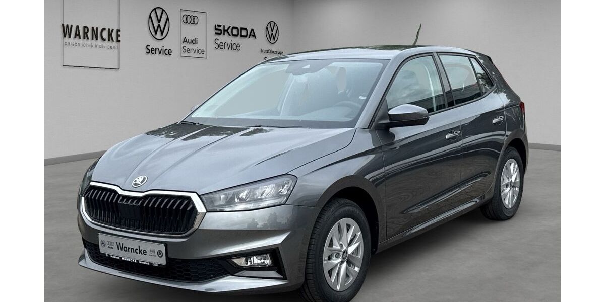 Skoda Fabia 1.100 km 17.970 &euro; Tarmstedt 27412