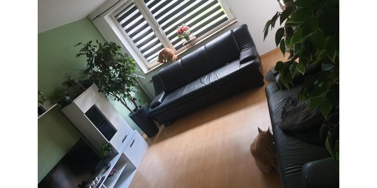 Hochparterre Hambergen - 2.5 Zimmer, 60 m&sup2;, 520&euro; | Angebot:24465378