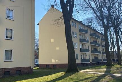 Helle 3-Zimmer-Wohnung mit Balkon 3 zimmer