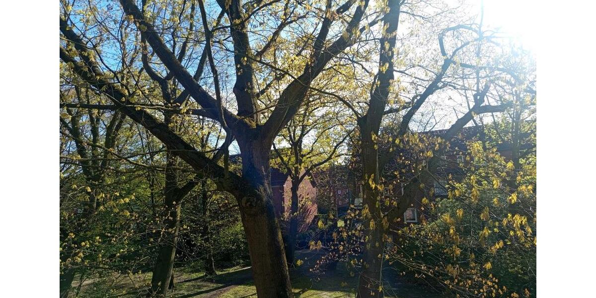 Etagenwohnung Bremen Burglesum - 2 Zimmer, 47 m&sup2;, 700&euro; | Angebot:26309013
